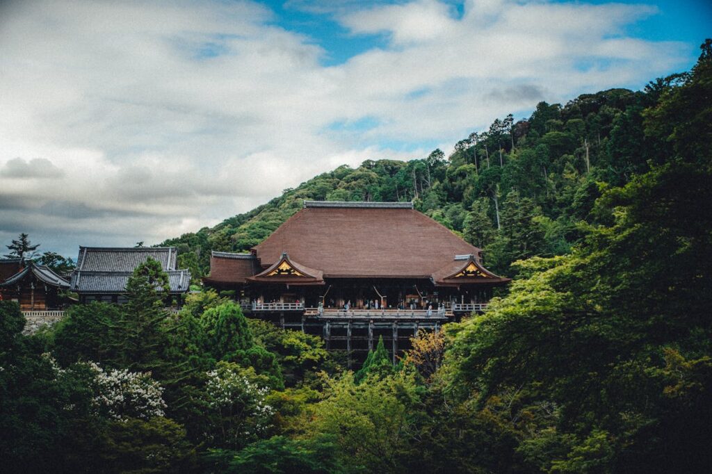 pexels photo 30987083.jpeg